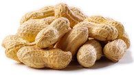   Around one in ten Australian children have a food allergy and around three in one hundred are allergic to peanuts. Researcher Mimi Tang blames […]