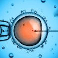 Recent developments in gene editing technologies have caused the dialogue surrounding the prospect of ‘designer babies’ to reach a new pitch. Research recently published in […]