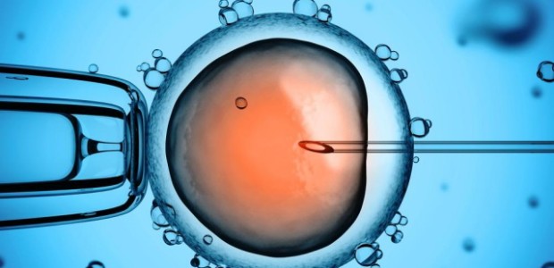 UK scientists have been granted permission by the UK Human Fertilisation and Embryology Authority (HFEA) to genetically modify human embryos, the first national regulatory authority […]