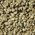 Coffee, the staple drink of millions worldwide, has had its secrets unravelled. The genome of the high quality coffee species Coffea arabica has recently been […]